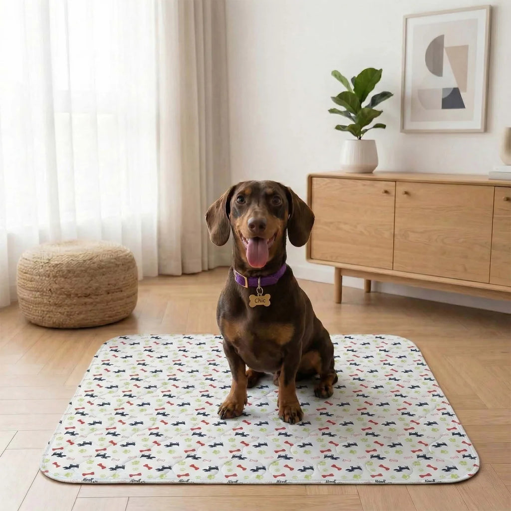 Tappetini lavabili-PUREPAWS™